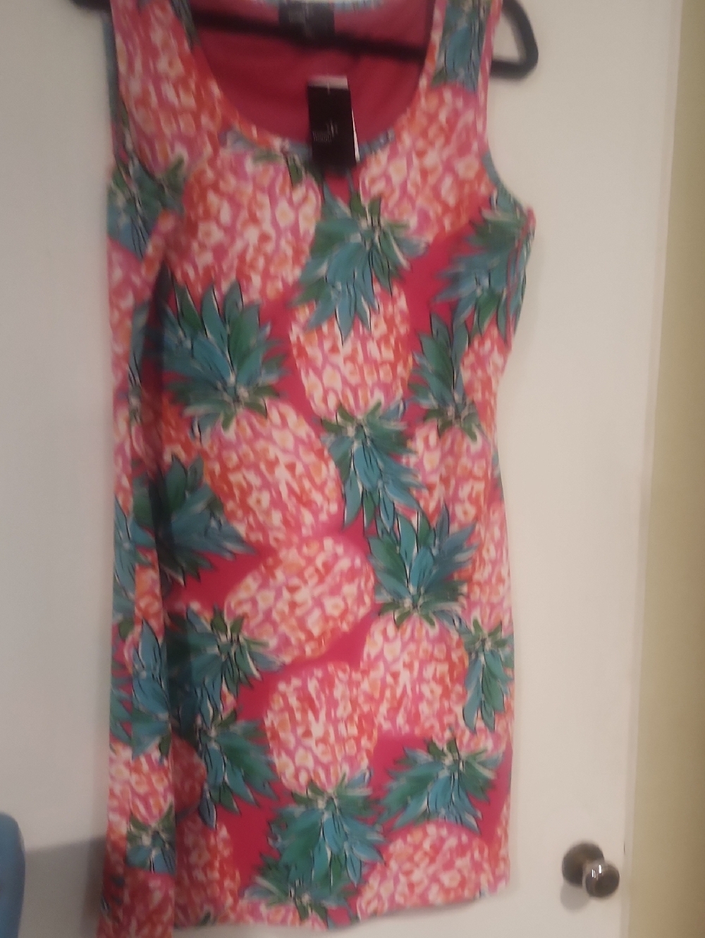 Women’s Sleeveless Pineapple Print Dress - Pink & Teal